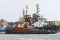 Wulf 5 JG-120220.jpg