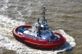 ZP Bison OS-060416-01.jpg