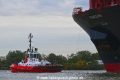 ZP Bison 141019-04.jpg