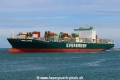 Ever Lasting TL-070720-3.jpg