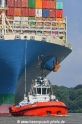 ZP Bison 180718-03.jpg
