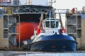 ZP Bear 151020-1.jpg
