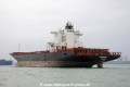 Dimitris Y OS-210115-11.jpg