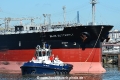 ZP Bear (KB-D290520-01).jpg