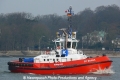 ZP Boxer (OK-070313-2).jpg