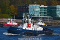 ZP Bear OS-091121-01.jpg