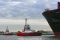 ZP Bison 141019-02.jpg