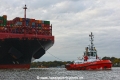 ZP Bison 141019-05.jpg