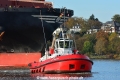 ZP Bear (KB-D081119-02).jpg