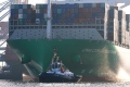 ZP Bear 081120-06.jpg