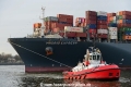ZP Bear (KB-D291219-04).jpg