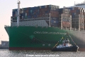 ZP Bear 081120-04.jpg