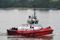 ZP Bison 120517-02.jpg