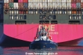 ZP Bear JP-180420-03.jpg