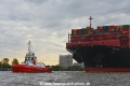 ZP Bison 141019-09.jpg