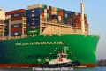 ZP Bear 081120-01.jpg