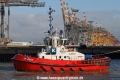 ZP Bison SH-070515-01.jpg