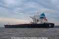 Tonic Sea 011112-21.jpg
