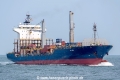 EM Hydra SH-010625-01.jpg