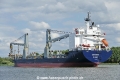 Coe Luisa (OK-060723-2).jpg