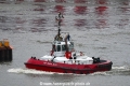 ZP Bulldog 121019.jpg