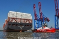 ZP Boxer 220920-01.jpg