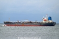 Goby OS-300624-07.jpg