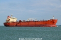 Grand Ace 9 OS-101125-11.jpg