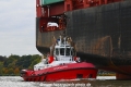 ZP Bulldog 141019-02.jpg