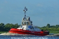 ZP Bulldog 040813.jpg