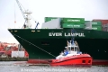ZP Bulldog 281212-01.jpg