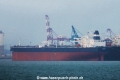 Seavision (MS-010118-Mokpo-02).jpg