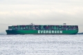 Ever Glory OS-221025-02.jpg