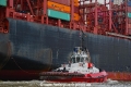 ZP Bulldog 141019-01.jpg