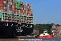ZP Bulldog 250916-01.jpg