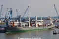 Chipolbrok Sun JP-300819.jpg