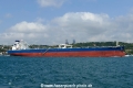 Seaviolet (OK-180823-1).jpg