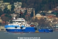Bourbon Petrel (OK-140214-0).jpg