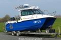 Cetus (KK-060419-0).jpg