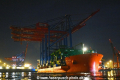 Zhen Hua 20 180816-30.jpg