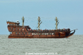 Roza Weneda HK-310716.jpg