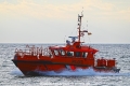 Knurrhahn OS-020421-02.jpg