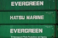 Evergreen-Hatsu Con 121104.jpg