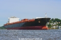 America 020620-06.jpg