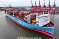 Ane Maersk MSchi-300324-1.jpg