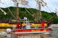 Greif 5 180514.jpg