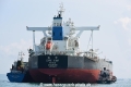 Cape India OS-291017-37.jpg