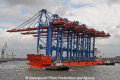 Zhen Hua 23 200610-36.jpg