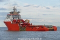 MSC Dragon (OK-050823-4).jpg
