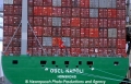Container 10103-2.jpg